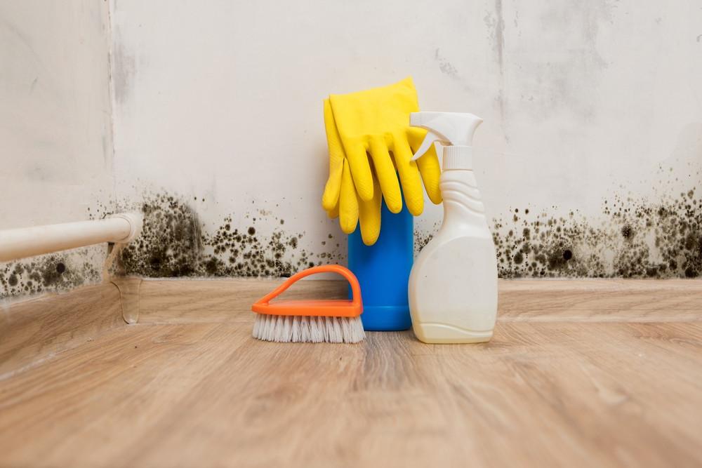 Household cleaning equipment in front of a mouldy wall